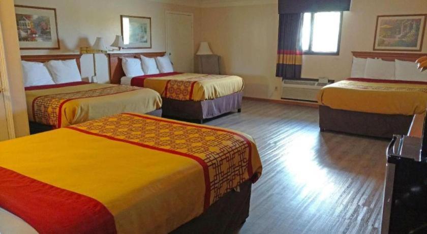 Americas Best Value Inn & Suites Thief River Falls Esterno foto